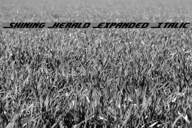 Shining Herald Expanded Italic Font examples