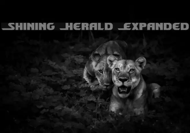 Shining Herald Expanded Font examples