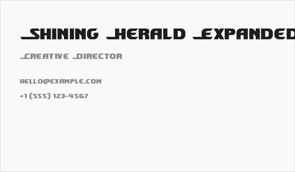 Shining Herald Expanded Business Card