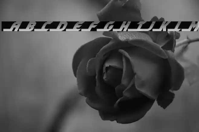 Shining Herald Gradient Italic Font examples