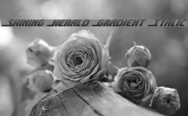 Shining Herald Gradient Italic Font examples
