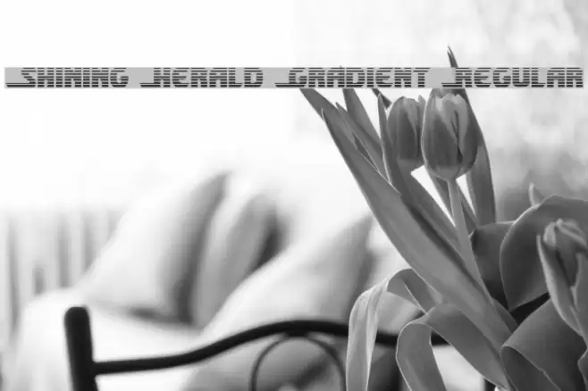 Shining Herald Gradient Regular Font examples