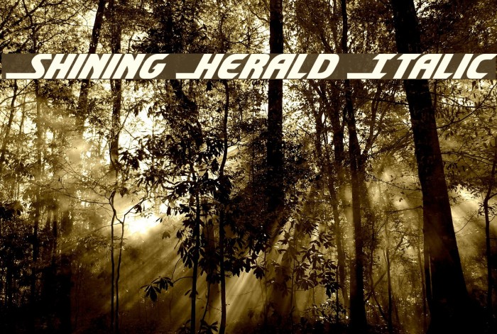 Shining Herald Italic Example 3
