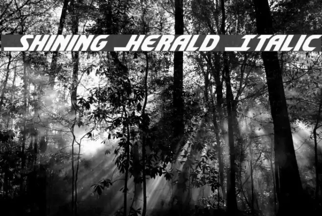 Shining Herald Italic Font examples