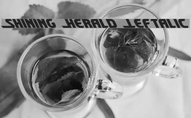 Shining Herald Leftalic Шрифта examples