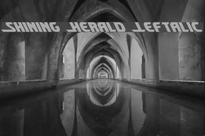 Shining Herald Leftalic Шрифта examples