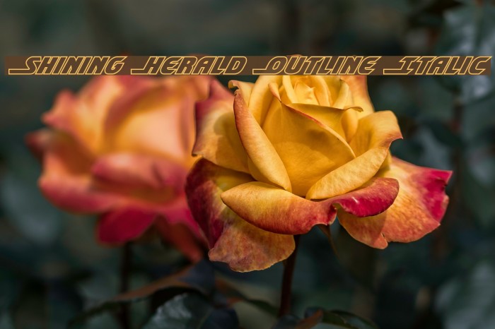Shining Herald Outline Italic Шрифта examples