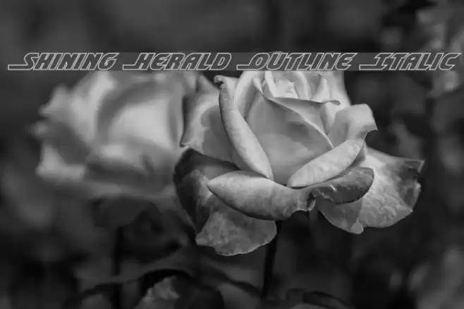 Shining Herald Outline Italic Шрифта examples