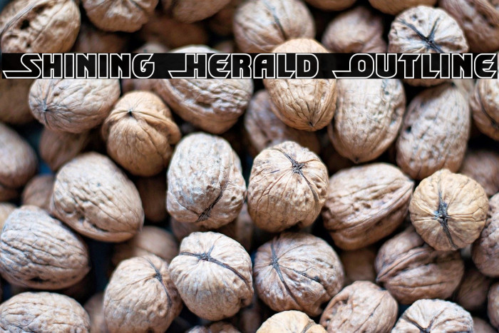 Shining Herald Outline Example 1