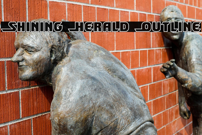 Shining Herald Outline Example 3