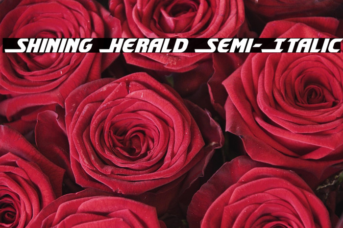 Shining Herald Semi-Italic Example 1