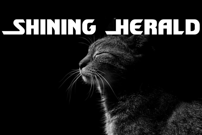 Shining Herald Example 2