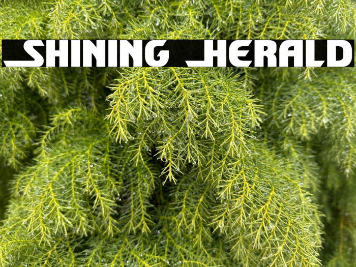 Shining Herald Example 3