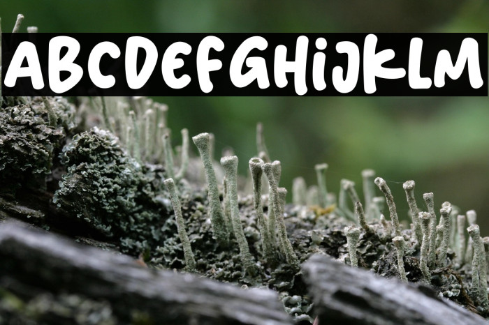 Shining Monday Example 1