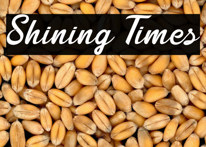 Shining Times Example 1