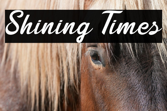 Shining Times Example 3