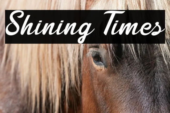 Shining Times Example 3