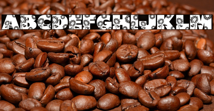 Shining Youth DEMO Example 1