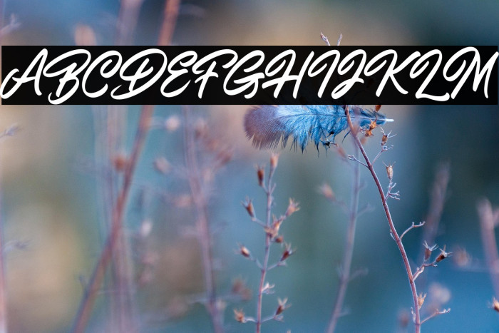 ShiningOnDemo Example 1