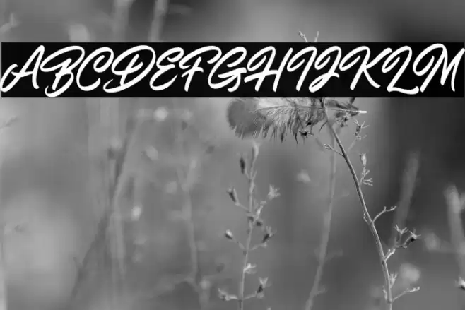 ShiningOnDemo Font examples