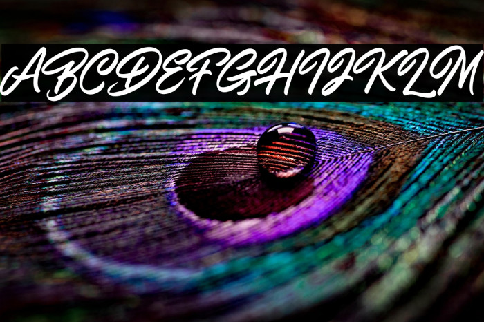 ShiningOnDemo Example 2