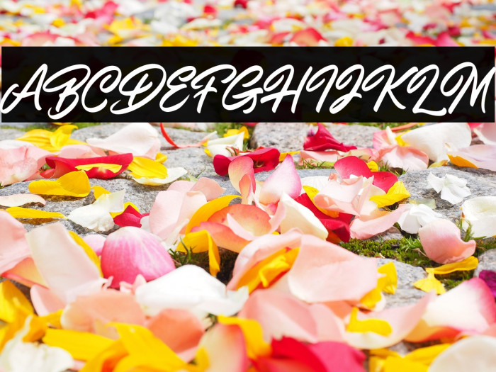 ShiningOnDemo Example 1