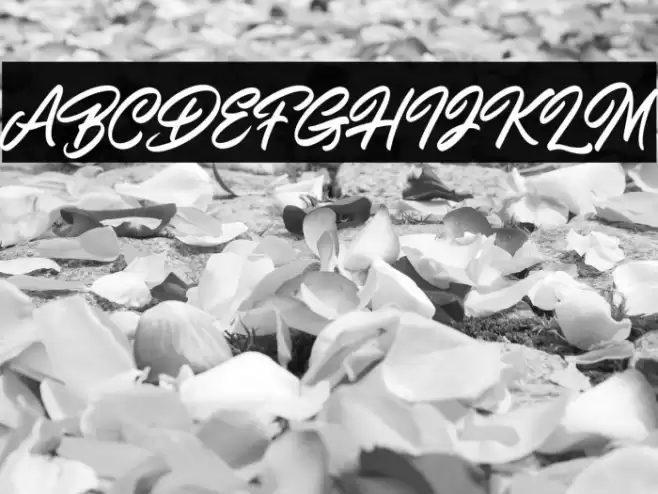 ShiningOnDemo Font examples