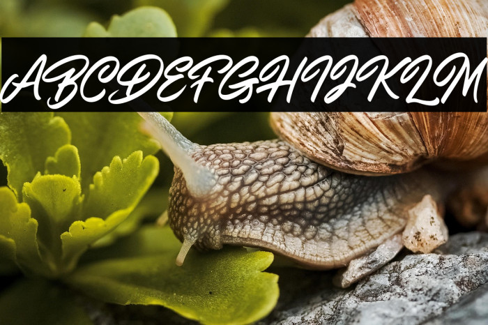 ShiningOnDemo Example 3