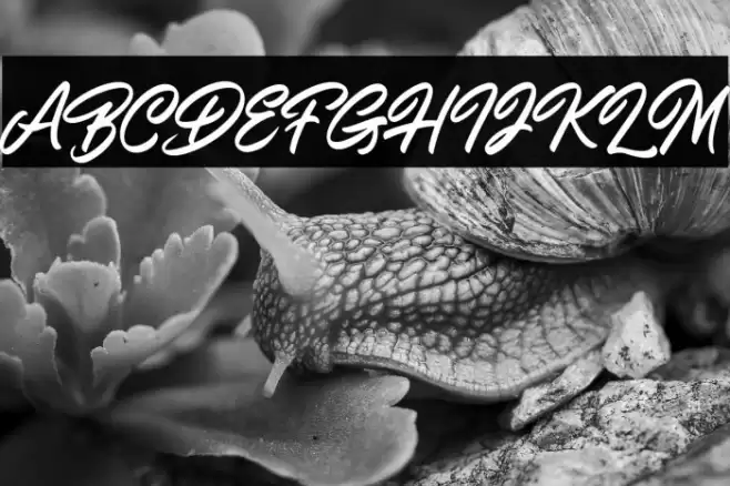 ShiningOnDemo Font examples