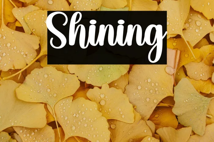 Shining Example 1