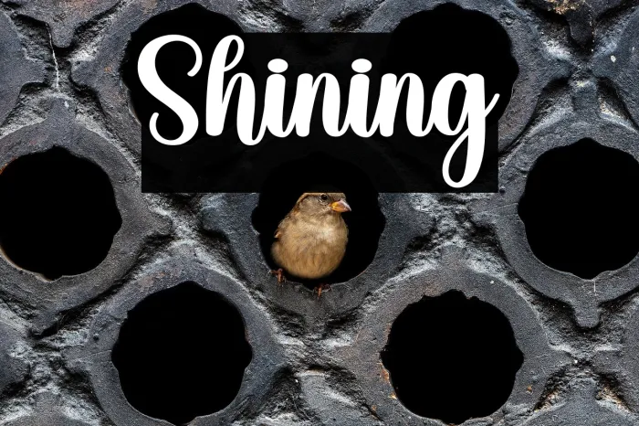 Shining Example 2