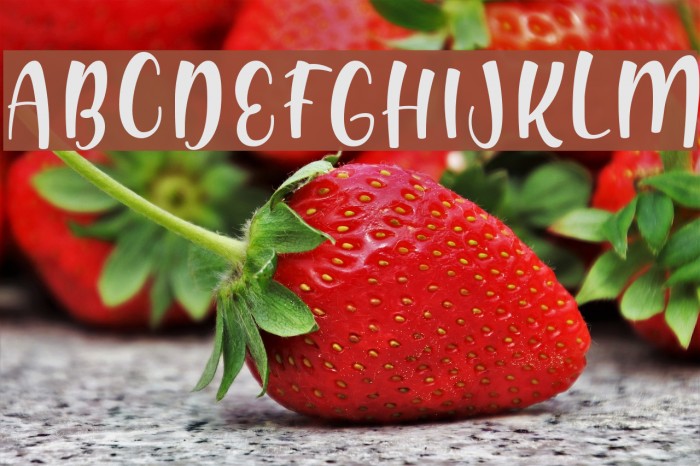 Shink Font examples