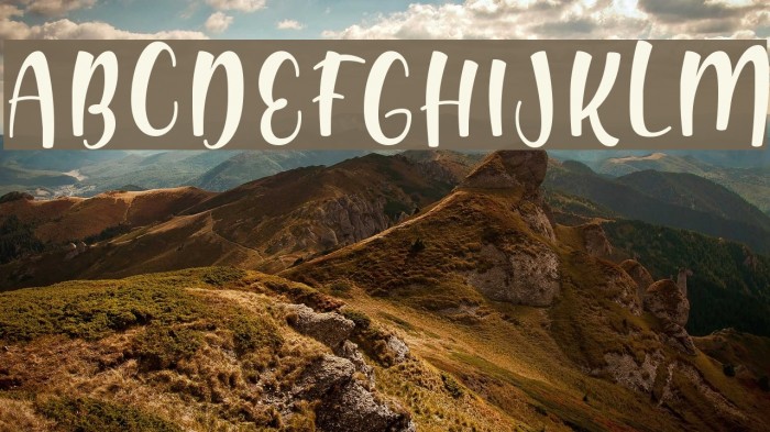 Shink Font examples