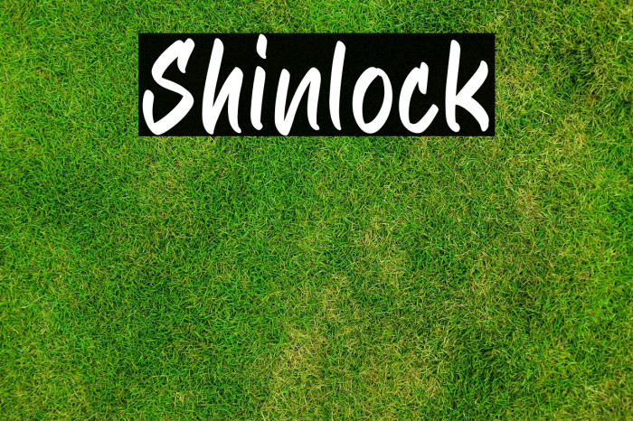 Shinlock Example 1