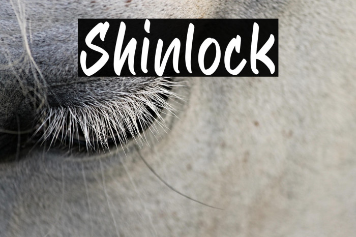 Shinlock Example 2
