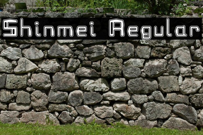 Shinmei Regular Example 1