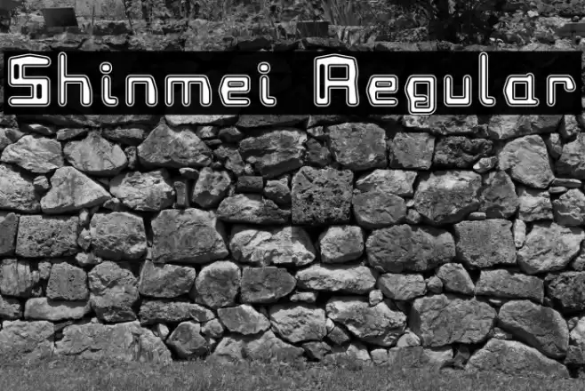 Shinmei Regular Font examples