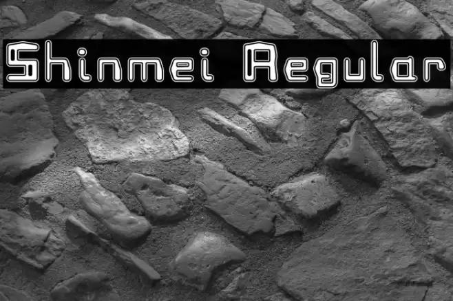 Shinmei Regular Font examples