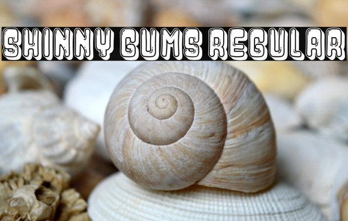Shinny Gums Regular Example 3