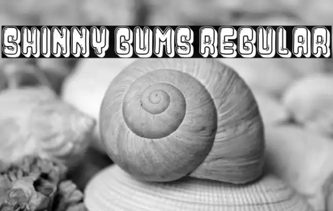 Shinny Gums Regular Font examples