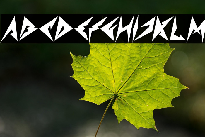 Shinobi Ninja Bold Italic Example 2