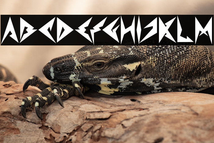 Shinobi Ninja Bold Example 1