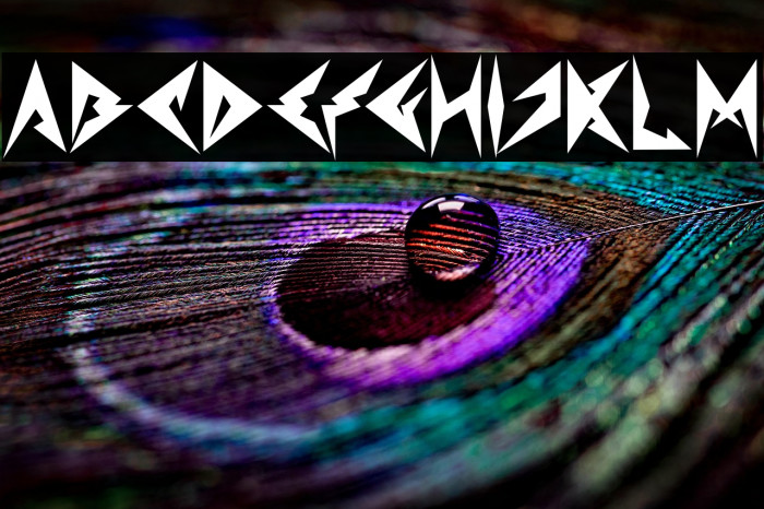 Shinobi Ninja Bold Example 3