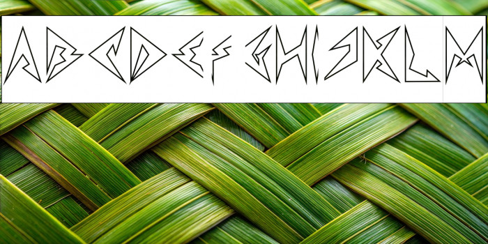 Shinobi Ninja-Hollow-Inverse Example 2