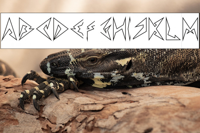 Shinobi Ninja-Hollow-Inverse Example 3