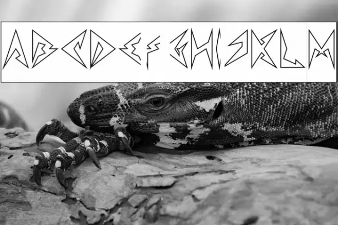 Shinobi Ninja-Hollow-Inverse Font examples