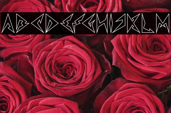 Shinobi Ninja-Hollow Example 1