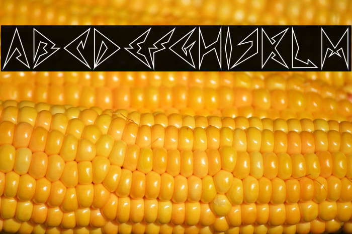 Shinobi Ninja-Hollow Example 2