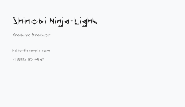 Shinobi Ninja-Light Business Card