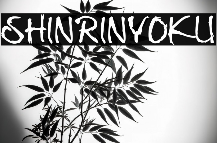 Shinrinyoku Example 1